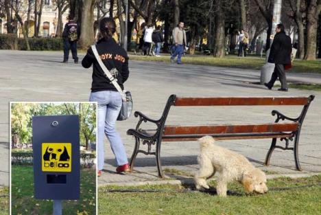 Alt fel de vandalism: Proprietarii de câini îşi plimbă patrupedele prin locurile de joacă din oraş şi "uită" să cureţe după ei
